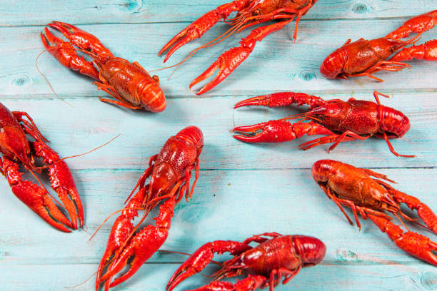 istock Boiled red crawfishon on blue wood background 1268431469