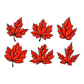 red maple leaf vector hand drawn set.  autumn season symbol. canadian symbol