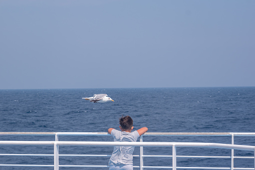 Boy watching the open sea on the deck on a ferry ride. A seagull passes by. Shooting from the back. Copy Space.