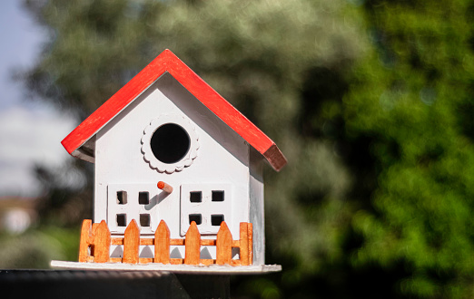 Red and white, miniature bird house decoration.