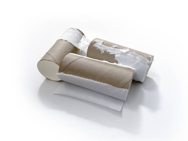 istock Empty toilet paper cores isolated on white background with shadows 1268433742