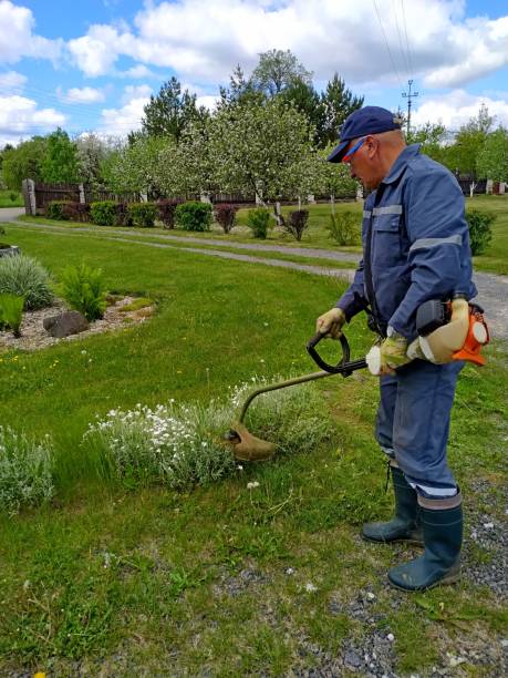 istock a man in blue uniform and goggles mows grass with a trimmer on a clear sunny day 1268435075