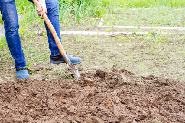 istock Worker man digs the soil with shovel in garden 1268435227