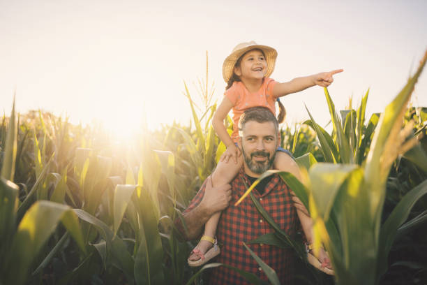 istock A caring father carries his daughter on his shoulders while walking in a corn field 1268437143