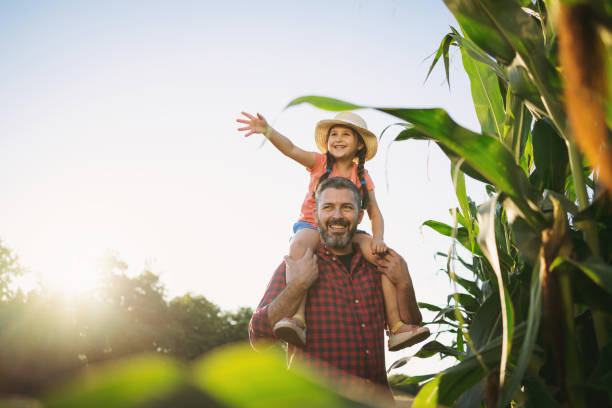 istock A caring father carries his daughter on his shoulders while walking in a corn field 1268437144