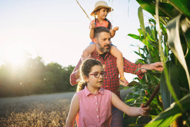 istock Happy family walking through a corn and wheat field 1268437260