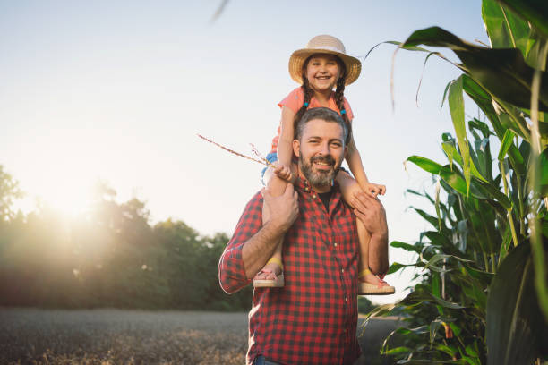 istock A caring father carries his daughter on his shoulders while walking in a corn field 1268437293