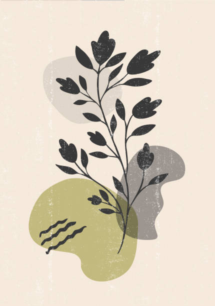 Botanical print boho minimalist printable wall art vector art illustration