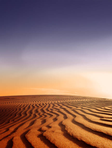istock Desert landscape - nature sand dune background in Dubai at twilight 1268439109