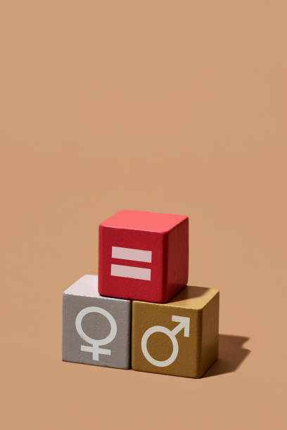 darstellung der gleichstellung der geschlechter mit spielzeugblöcken - equal sign fotos stock-fotos und bilder