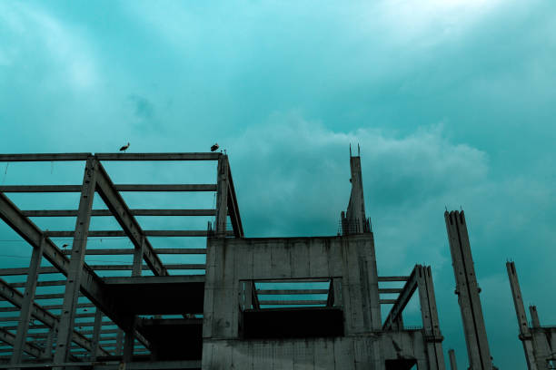 Storks on unfinished concrete building in dusk, toned image