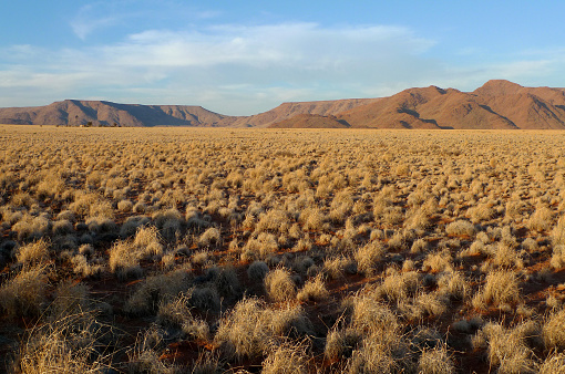 Ausnek is a farming area near the Namib Desert