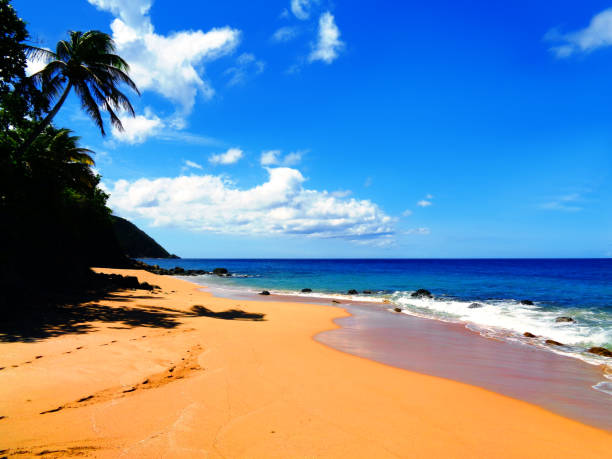 istock Laurent Beach in Rifflet, Guadeloupe 1268447166