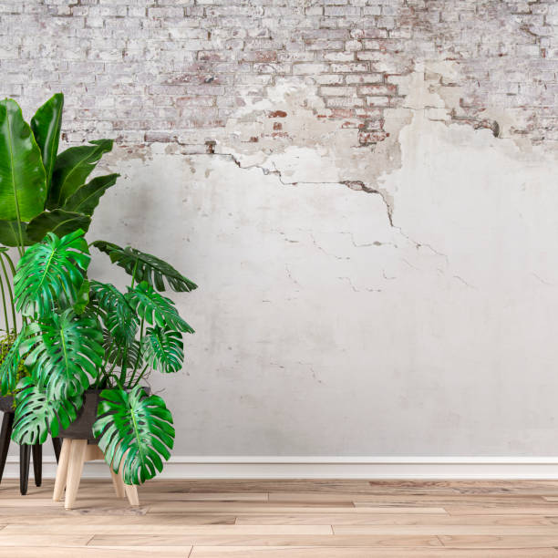 istock Empty ruined wall background with potted plants left stock photo 1268447272