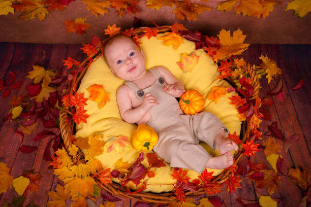 счастливый новорожденный, лежащий на осенних листьях. портрет прекрасного малыша. урожай - baby animal nest newborn lying down стоковые фото и изображения