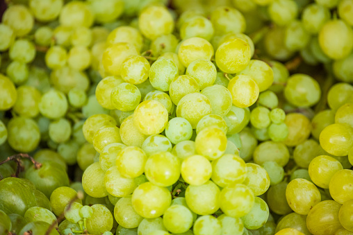 White wine grapes in a market. The grapes are green.