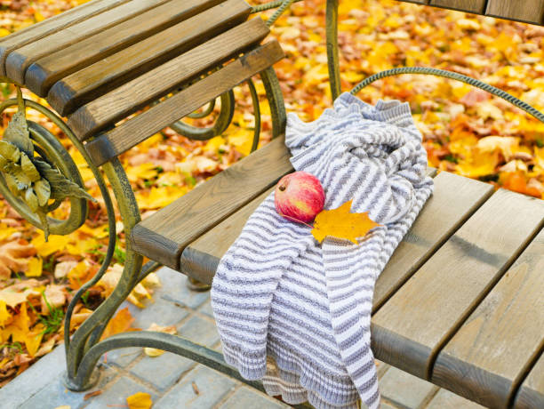 apple on a bench in autumn park. High quality photo