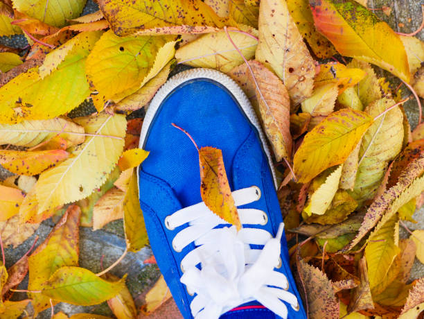 istock blue sneakers and yellow leaves 1268452324