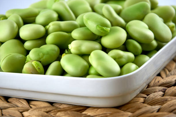 Fresh and organic raw fava, broad beans