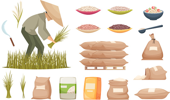 Rice bags. Agricultural products brown and white rice transporting food ingredients vector illustrations. Rice in sack bag, healthy harvest agriculture