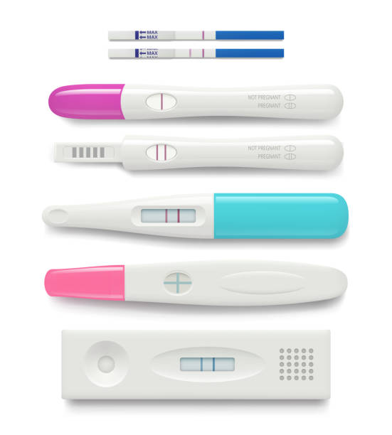 schwangerschaftstest. weibliche negative oder positive test gute eisprung feminine gesundheitsvektor realistische bilder - ovulation stock-grafiken, -clipart, -cartoons und -symbole