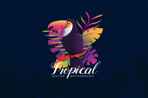 hintergrundillustration mit tropischem toucan-thema - heaven hell road sign sign stock-grafiken, -clipart, -cartoons und -symbole