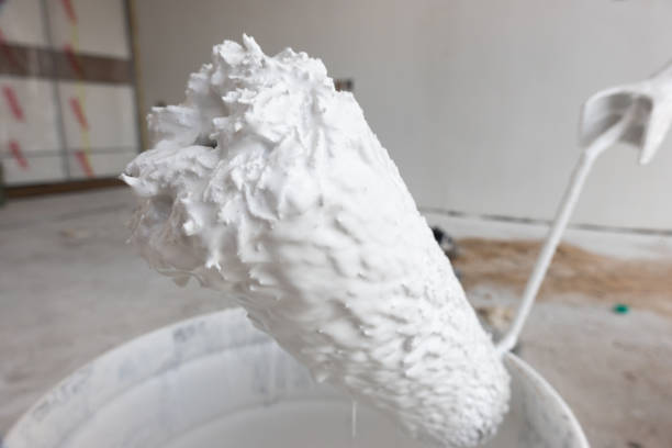 istock white Emulsioni paint in tank with roller 1268466587