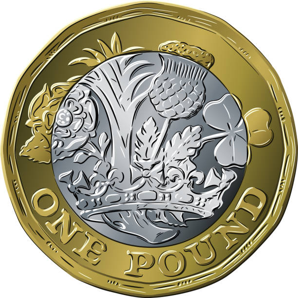 British coin one pound new 12-sided design Vector British money gold coin one pound new 12-sided design, reverse with English rose, leek for Wales, Scottish thistle and shamrock for Northern Ireland one pound coin stock illustrations