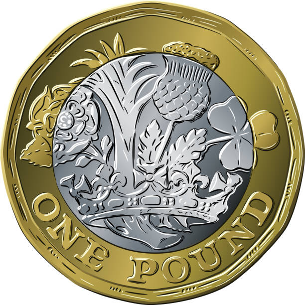 British coin one pound new 12-sided design Vector British money gold coin one pound new 12-sided design, reverse with English rose, leek for Wales, Scottish thistle and shamrock for Northern Ireland Scottish Thistle stock illustrations