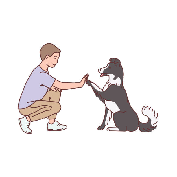 mann trainiert seinen hund, um eine pfote zu geben, skizze linie vektor-illustration isoliert. - agility stock-grafiken, -clipart, -cartoons und -symbole