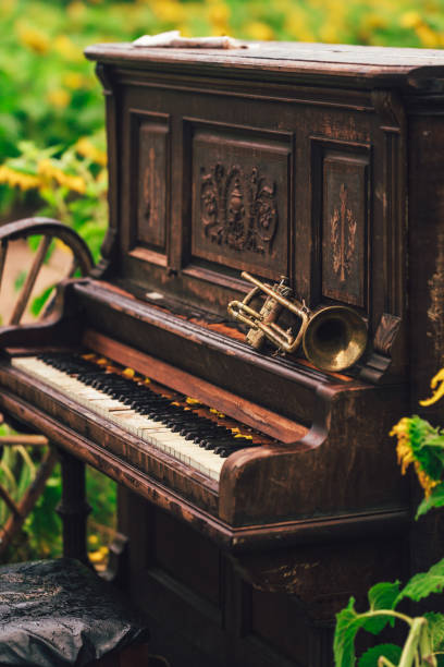 istock Piano in the Field 1268474037