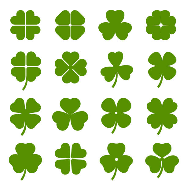 koniczyna pozostawia z czterema i trzema płatkami zielone ikony ustawione. shamrock roślina, trawa. - irish culture obrazy stock illustrations