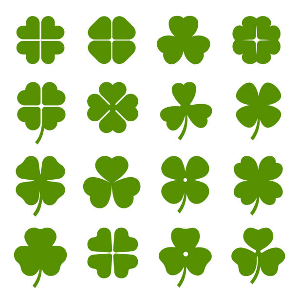 Clover leaves with four and three petals green icons set. Shamrock plant, grass. Clover leaves with four and three petals green icons set. Shamrock plant, grass. Saint Patrick day, Ireland symbol. Botanical, floral decoration elements. Vector collection isolated on white. clover leaf stock illustrations