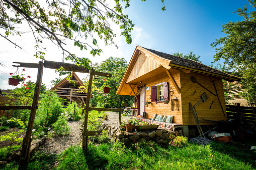 Wide angle color image depicting a fresh lush garden with colorful flowers in bloom. At the end of the garden is an a-frame wooden cabin house.