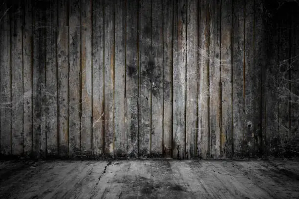 Photo of Old grunge wooden room and concrete floor covered with cobweb or spider web