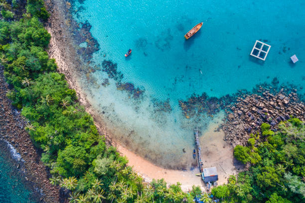 istock Aerial view blue sea white sand beach with coconut palm tree 1268479370