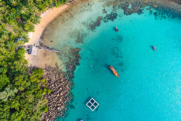 istock Aerial view blue sea white sand beach with coconut palm tree 1268479371