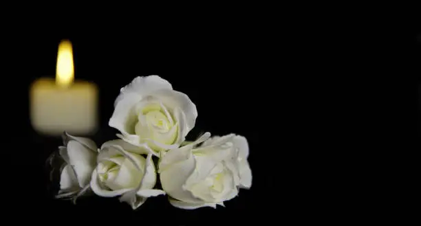 Photo of Beautiful White roses with a burning candle on the dark background. Funeral flower and candle on table against black background with copy space.