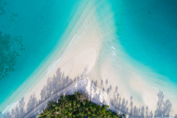 istock Aerial view blue sea white sand beach with coconut palm tree 1268480305