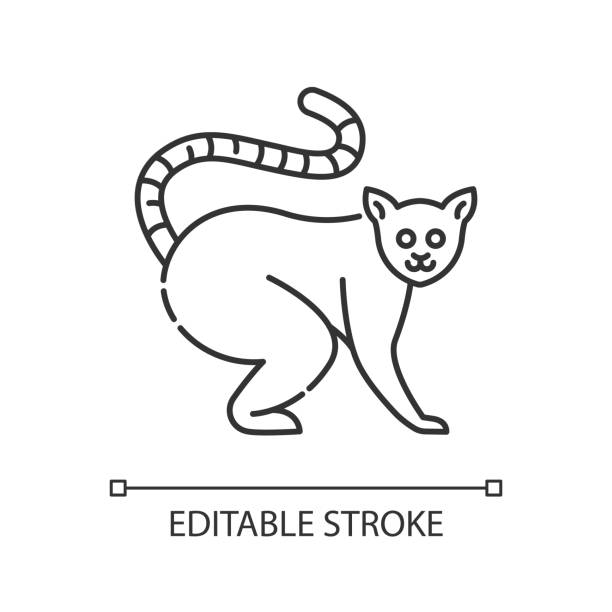 Ring Tailed Lemur Pixel Perfect Linear Icon Stock Illustration - Download Image Now - Editable Stroke, Icon, Madagascar - iStock Ring Tailed Lemur Pixel Perfect Linear Icon Stock Illustration - Download Image Now - Editable Stroke, Icon, Madagascar - iStock