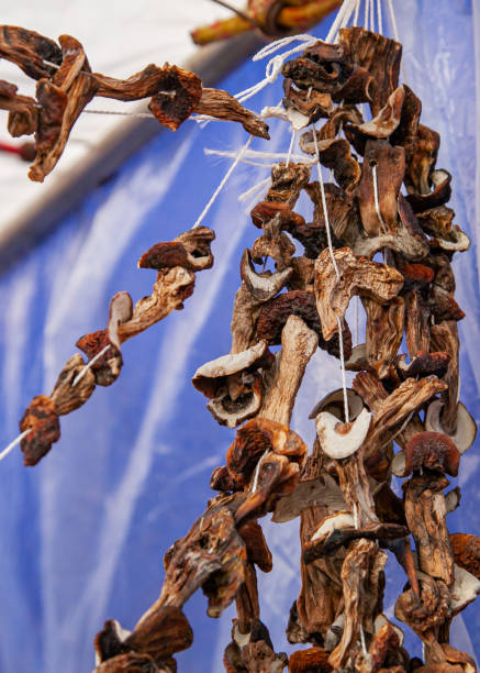 istock Dried mushrooms on a rope hang at a rural fair 1268481771