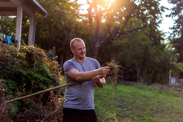istock Man cleaning rake from dry branches and leaves. 1268482477