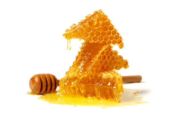 le nid d’abeille et la propolis curative isolés sur le fond blanc. miel d’abeille sauvage - breakfast stick honey meal photos et images de collection