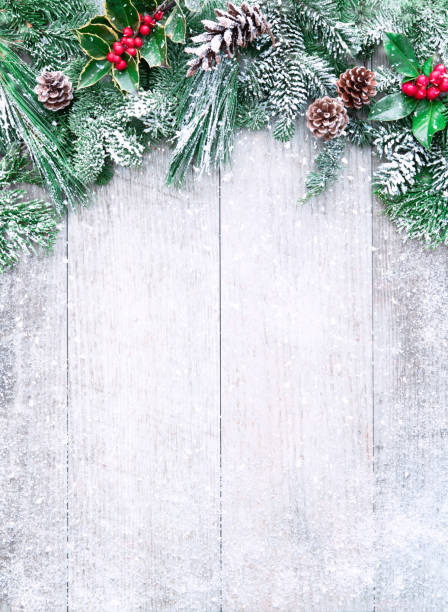 Christmas and New Year background with fir branches Christmas and New Year background with fir branches, holly and snowfall on wooden white board rustic photos stock pictures, royalty-free photos & images