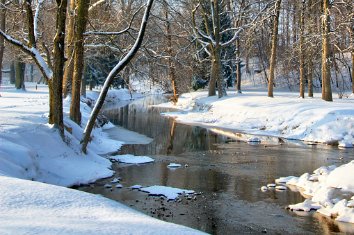 A creek flowing trough a pasture in winter