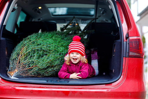 Adorable little toddler girl with Christmas tree inside of family car. Happy healthy baby child in winter fashion clothes choosing and buying big Xmas tree for traditional celebration