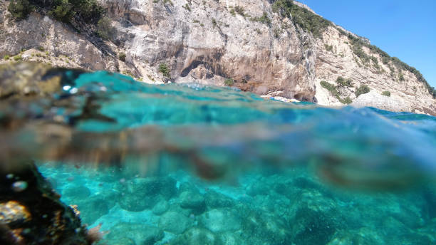 istock Sardinia crystal water underwater view while diving 1268497650