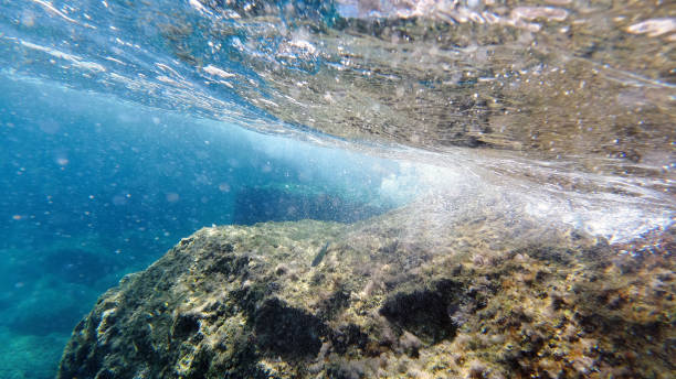 istock Sardinia crystal water underwater view while diving 1268498361