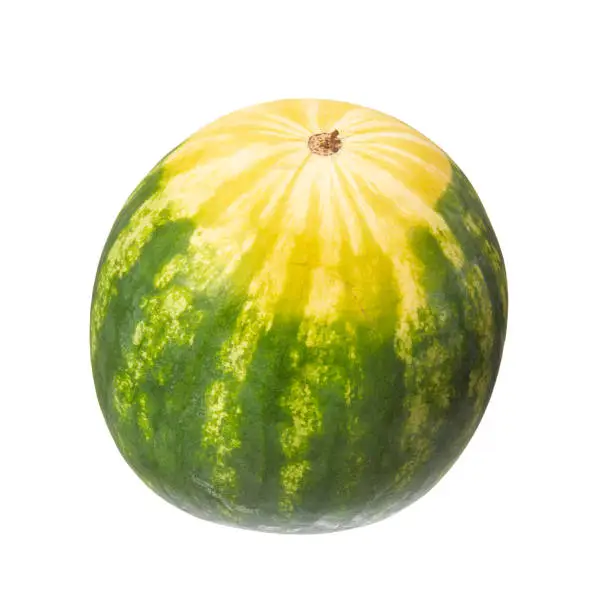 Striped watermelon with yellow spot isolated on white background