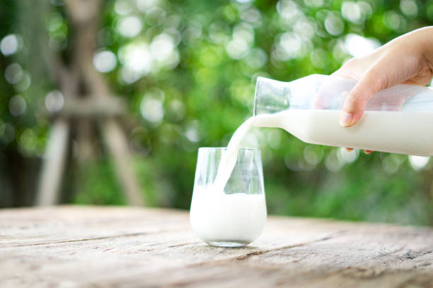 Pouring milk. Pouring milk with a jug in a glass on the background of nature. pasteurization stock pictures, royalty-free photos & images
